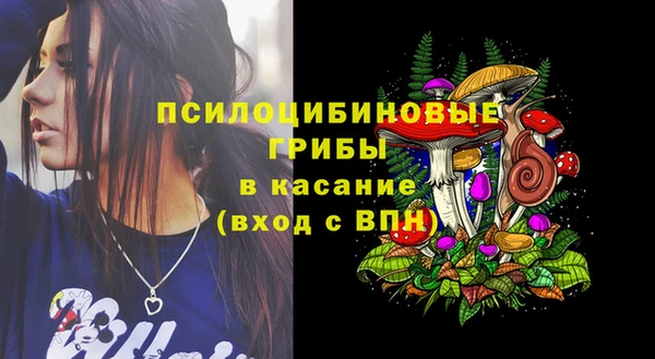 гашик Белоозёрский