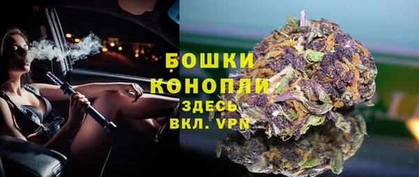хмурый Белокуриха