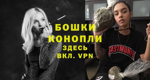 хмурый Белокуриха
