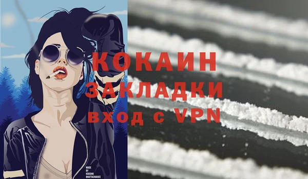 хмурый Белокуриха