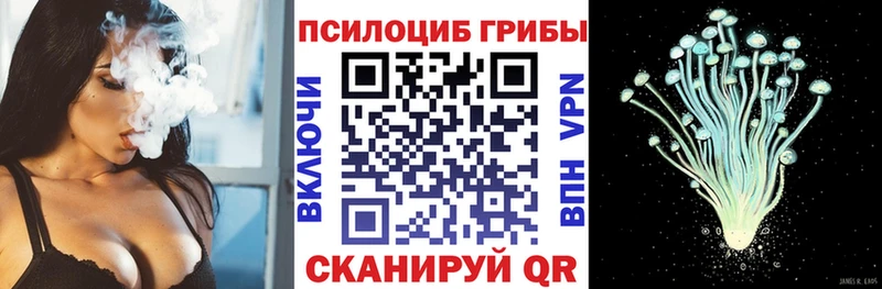Псилоцибиновые грибы Psilocybe  Краснокамск 